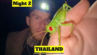 Catching Creatures at Night - Night 2