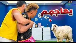 خروف يهجم على بلال و محمود دندنها