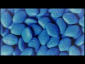 Download Lagu Olja Wagner - Blue Pill (Wiener Takes It All)