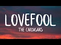 The Cardigans - Lovefool (Lyrics)