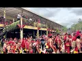 Download Lagu Ribuan warga dayak berkumpul  dirumah panjang untuk ritual adat 