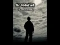 Tu Jaane Na (Lofi Remix) • Atif Aslam • Emotional Night Mix 🌙