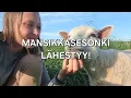 Download Lagu Mansikkasesonki lähestyy!