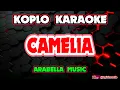 Lagu CAMELIA KARAOKE - ARABELLA MUSIC @koplokaraooke 