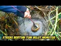 KEMBALI TERJADI MANCING BELUT STREK BERTUBI TUBI BELUT MONSTER SEPERTI INI