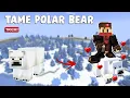 How to Tame Polar Bear in Minecraft - TUTORIAL