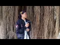 Download Lagu HASBI ROBBI JALLALLAH - SITI HANRIYANTI SHOLAWAT