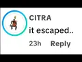 Download Lagu NOSEY ESCAPED...