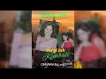 IDA LAILA - Pergi tak Kembali