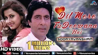 dil mere tu deewana hai sooryavansham amitabh u0026 rachana banerjee
