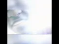 matthew Jack whap whap OFFICIAL music video feat skillibeng.FS