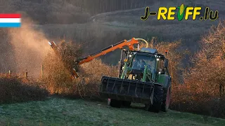                                                                                                دندنها