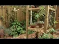 Magical Courtyard Garden
