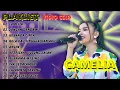 Download Lagu Camelia - Tasya Rosmala Full Album Terbaru || ADELLA FULL ALBUM TERBARU 2024