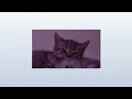 Download Lagu barney sku - Your eyes | \
