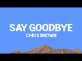 Download Lagu Chris Brown - Say Goodbye (Lyrics)