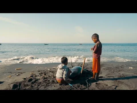 Lamalera - a legacy of whaling | Trailer