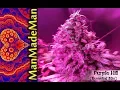 Download Lagu ManMadeMan - Purple Hill [The Essential Mix]