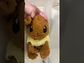 Unboxing the Mysterious Plush Eevee - Who ARE You