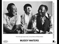 Muddy Waters & Johnny Winter / Good Morning Little School
