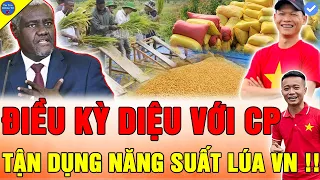 Download 🔴THẾ GIỚI NỨC LÒNG Linh Philip Team Quang Linh Vlogs NẮNG SUẤT LÚA VIỆT NAM VƯỢT TRỘI TẠI CHÂU PHI MP3