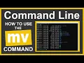 Command Line Tutorial How to Use the Command