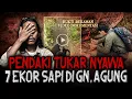 Lagu EPIC STORY!! (ADA VIDEO DOKUMENTASINYA) PENDAKI INI TUKAR NYAWA DENGAN SAPI DI GN. AGUNG