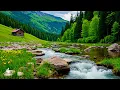 Download Lagu Soothing, relaxing music for peaceful moments with peaceful birdsong
