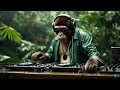 DJ GO RILLA – 🎧 JOURNEY №65 | Afro Deep House | BORNEO RAINFOREST 🌧️🌴