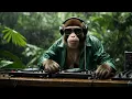 Download Lagu DJ GO RILLA – 🎧 JOURNEY №65 | Afro Deep House | BORNEO RAINFOREST 🌧️🌴