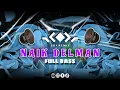 Download Lagu DJ NAIK DELMAN VIRAL TIKTOK FULL BASS