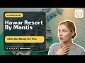 Hawar Resort By Mantis - I Was Not Ready for This Hawar Islands Bahrain