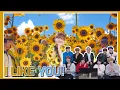 Download Lagu CRAVITY(크레비티) Reaction to CIIPHER 'I Like You' Official MV