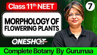 MORPHOLOGY OF FLOWERING PLANTS Class 11th NEET | Concept, Tricks & PYQs || PhysicsWallah