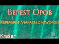 Download Lagu Bepest Opob Kepevepin Mapacleopowopod,Kraser