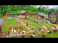 Lagu Time Lapse: 365-Day Journey To Building Dream Stone House and Green Farm | Thoa Bushcraft 97