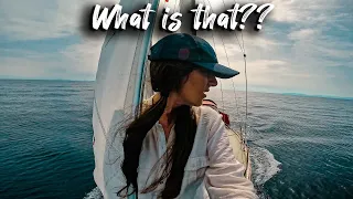 Something in the water! | SAILING TO ROME | Chasing Currents EP 61