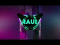 Bro_Raul - Reckol - Transkobuskas(Remix)