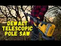 Don t BUY a Pole Saw Until you see the NEW DEWALT DCMPS640N-XJ in Action