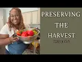 What I Did With This Week s Garden Harvest Salsa Okra Peppers