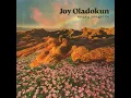 Keeping the Light On - Joy Oladokun