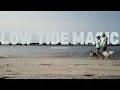 Low Tide Magic Topsail Island NC Sandbar Treasures Coastal Creatures
