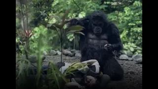 نمبر وان حلقة 8 مايو 2019 رضا عبدالعال يعلق على رامز في الشلال وريمونتادا ليفربول 