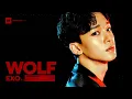 EXO (엑소) '늑대와 미녀 (Wolf) (EXO'rDIUM ver.)' - Line Distribution