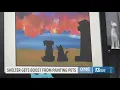 How Muskegon shelter s painting pets are helping keep both animals and people