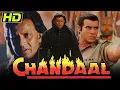 Download Lagu Chandaal (1998) - Mithun Chakraborty Blockbuster Hindi Movie | Sneha, Rami Reddy, Hemant Birje