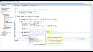 Java NIO - ByteBuffer To String Demo