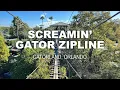 Screamin Gator Zipline Gatorland Orlando