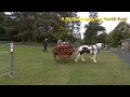 Concours d International d Attelage de Tradition CIAT 2025 Beamish Museum FULL WIDESCREEN