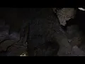 Download Lagu BONGABONG- TOURISM ADVERTISEMENT